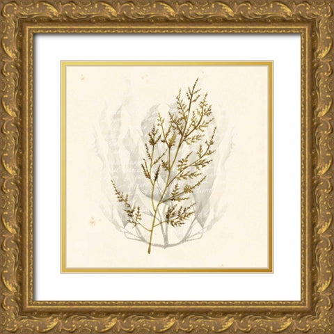 Vivid Algae I Gold Ornate Wood Framed Art Print with Double Matting by Popp, Grace