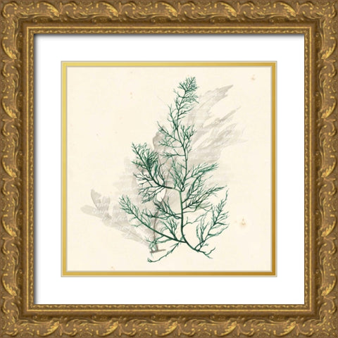 Vivid Algae IV Gold Ornate Wood Framed Art Print with Double Matting by Popp, Grace