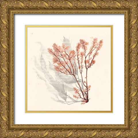 Vivid Algae VI Gold Ornate Wood Framed Art Print with Double Matting by Popp, Grace