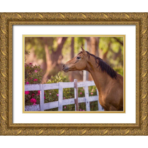 Flower Frolick I Gold Ornate Wood Framed Art Print with Double Matting by Sturgeon, Ozana