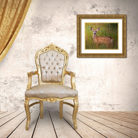 Deer Watch IV Gold Ornate Wood Framed Art Print with Double Matting by Sturgeon, Ozana