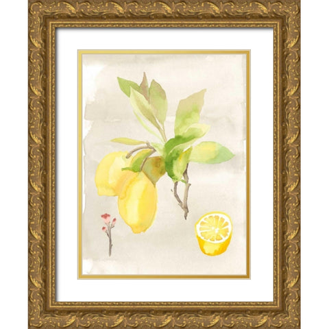 Watercolor Fruit II Gold Ornate Wood Framed Art Print with Double Matting by McCavitt, Naomi