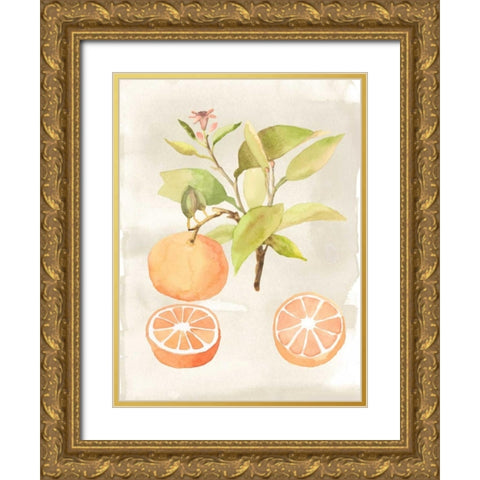 Watercolor Fruit V Gold Ornate Wood Framed Art Print with Double Matting by McCavitt, Naomi