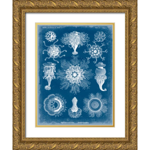 Marine Blueprint I Gold Ornate Wood Framed Art Print with Double Matting by Vision Studio