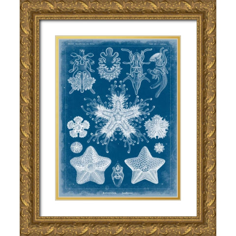 Marine Blueprint III Gold Ornate Wood Framed Art Print with Double Matting by Vision Studio