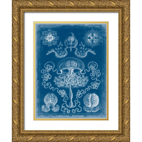 Marine Blueprint IV Gold Ornate Wood Framed Art Print with Double Matting by Vision Studio