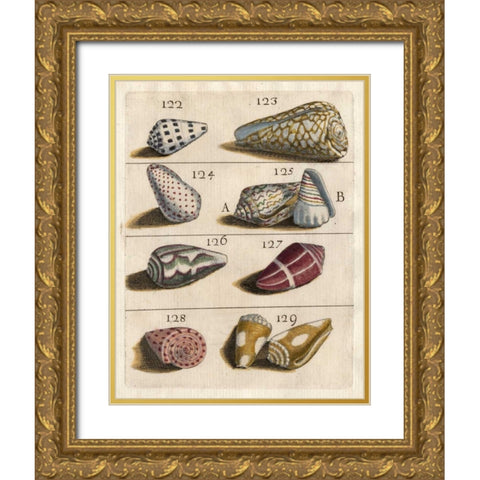 Shell Collection I Gold Ornate Wood Framed Art Print with Double Matting by Unknown