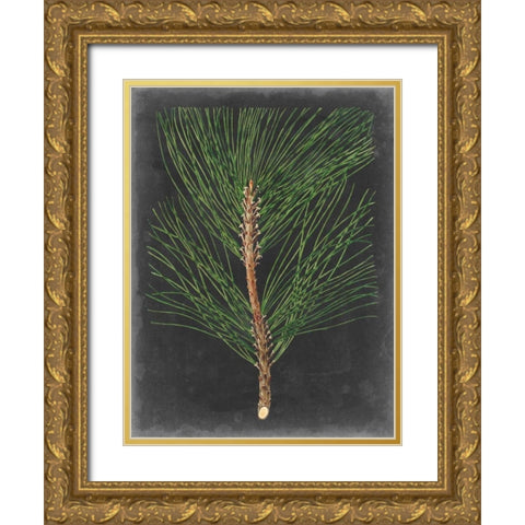 Dramatic Pine I Gold Ornate Wood Framed Art Print with Double Matting by Vision Studio