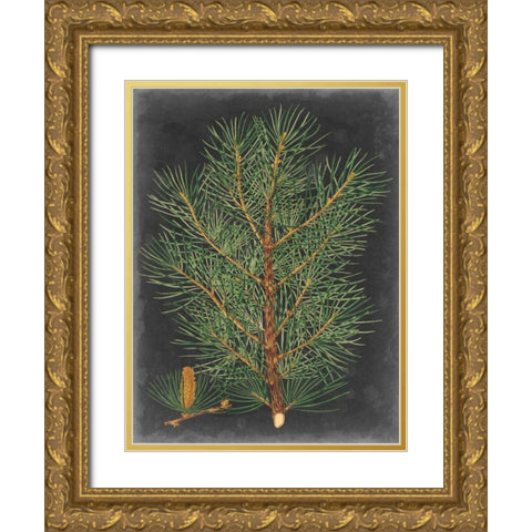 Dramatic Pine II Gold Ornate Wood Framed Art Print with Double Matting by Vision Studio