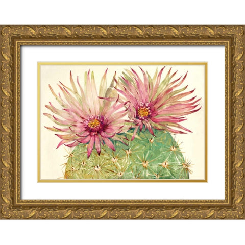 Cactus Blossoms I Gold Ornate Wood Framed Art Print with Double Matting by OToole, Tim