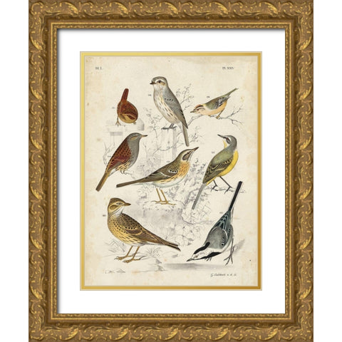 Custom Gathering of Birds I (ASH) Gold Ornate Wood Framed Art Print with Double Matting by Lubbert, G.