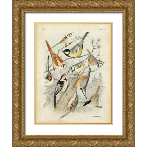 Custom Gathering of Birds II (ASH) Gold Ornate Wood Framed Art Print with Double Matting by Lubbert, G.