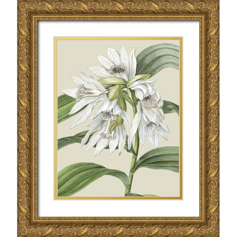 Custom Orchid Blooms III (ASH) Gold Ornate Wood Framed Art Print with Double Matting by Vision Studio
