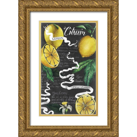 Chalkboard Citrus I Gold Ornate Wood Framed Art Print with Double Matting by Popp, Grace