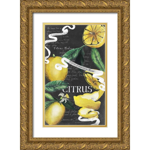 Chalkboard Citrus II Gold Ornate Wood Framed Art Print with Double Matting by Popp, Grace