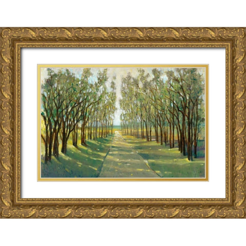 Forest Path Gold Ornate Wood Framed Art Print with Double Matting by OToole, Tim