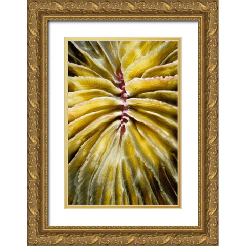 Enticing - Thailand Gold Ornate Wood Framed Art Print with Double Matting by Factor, Beverly