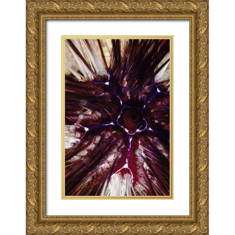 Passion Flower - Thailand Gold Ornate Wood Framed Art Print with Double Matting by Factor, Beverly