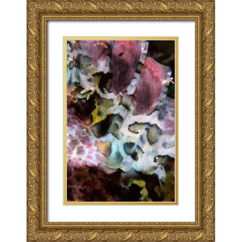 Pink Marvel - Indonesia Gold Ornate Wood Framed Art Print with Double Matting by Factor, Beverly