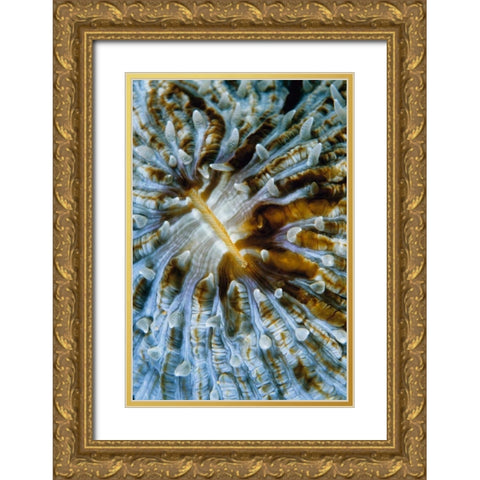 Interlude - Papua New Guinea Gold Ornate Wood Framed Art Print with Double Matting by Factor, Beverly