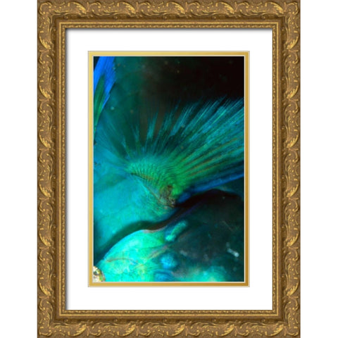 Finality - Australia Gold Ornate Wood Framed Art Print with Double Matting by Factor, Beverly