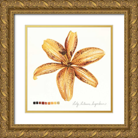Lilium IV Gold Ornate Wood Framed Art Print with Double Matting by Popp, Grace