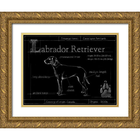 Blueprint Labrador Retriever Gold Ornate Wood Framed Art Print with Double Matting by Ethan Harper
