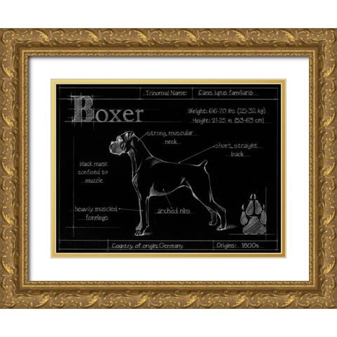 Blueprint Boxer Gold Ornate Wood Framed Art Print with Double Matting by Ethan Harper