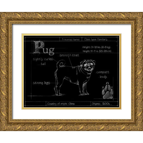 Blueprint Pug Gold Ornate Wood Framed Art Print with Double Matting by Ethan Harper