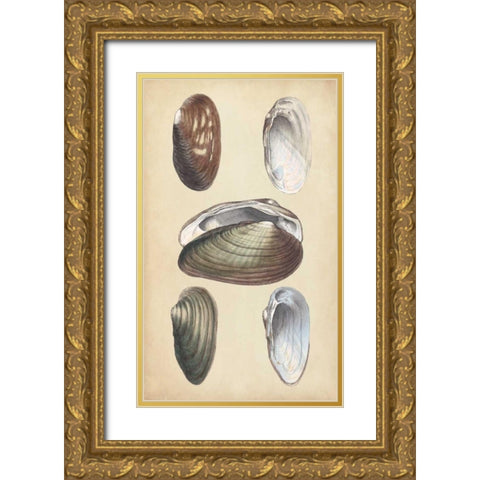 Marine Bivalves I Gold Ornate Wood Framed Art Print with Double Matting by Wood