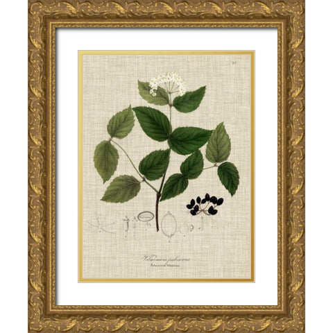 Linen and Leaves I Gold Ornate Wood Framed Art Print with Double Matting by Vision Studio
