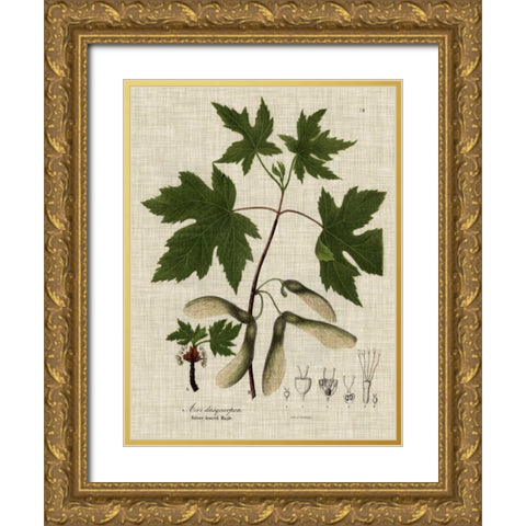 Linen and Leaves II Gold Ornate Wood Framed Art Print with Double Matting by Vision Studio