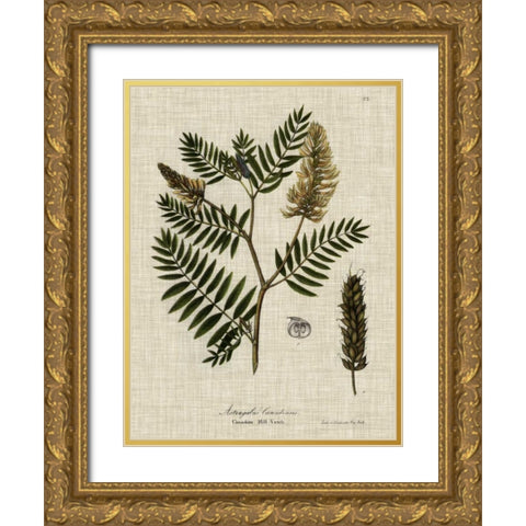 Linen and Leaves III Gold Ornate Wood Framed Art Print with Double Matting by Vision Studio