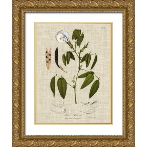 Linen and Leaves IV Gold Ornate Wood Framed Art Print with Double Matting by Vision Studio