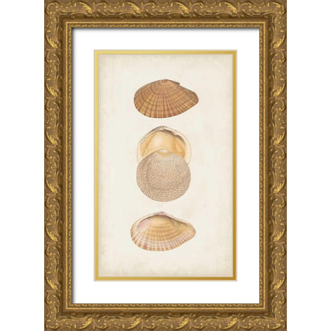 Antiquarian Shell Study I Gold Ornate Wood Framed Art Print with Double Matting by Vision Studio