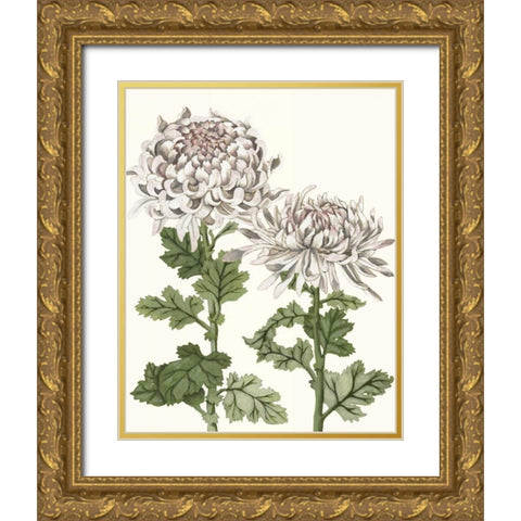 Early Spring Chrysanthemums II Gold Ornate Wood Framed Art Print with Double Matting by McCavitt, Naomi