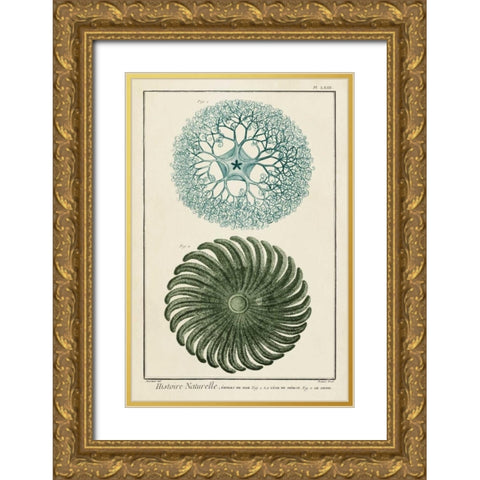 Ocean Oddity I Gold Ornate Wood Framed Art Print with Double Matting by Vision Studio