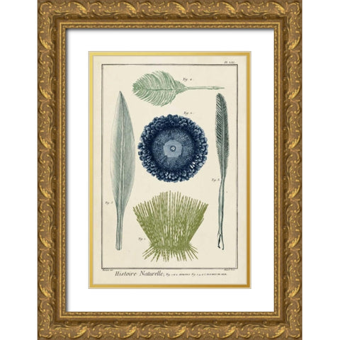 Ocean Oddity II Gold Ornate Wood Framed Art Print with Double Matting by Vision Studio
