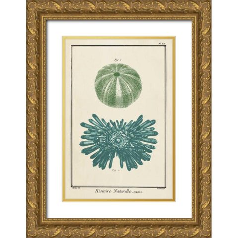 Ocean Oddity III Gold Ornate Wood Framed Art Print with Double Matting by Vision Studio