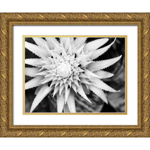 Botanical Under Cold Moonlight II Gold Ornate Wood Framed Art Print with Double Matting by Bane, Eva