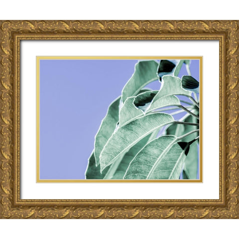 Clear Leaves on Blue I Gold Ornate Wood Framed Art Print with Double Matting by Bane, Eva
