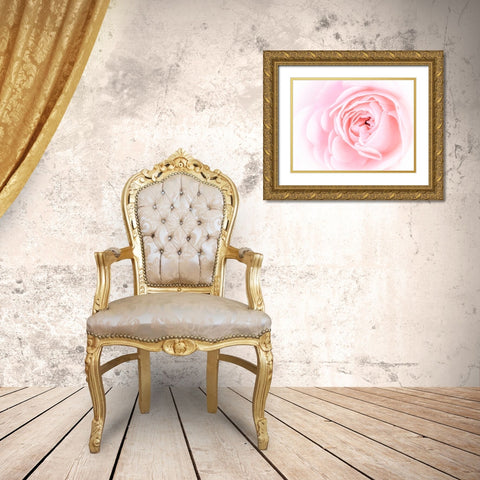 Pretty Pink Blooms I Gold Ornate Wood Framed Art Print with Double Matting by Bane, Eva