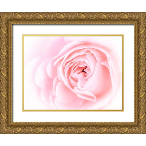 Pretty Pink Blooms I Gold Ornate Wood Framed Art Print with Double Matting by Bane, Eva