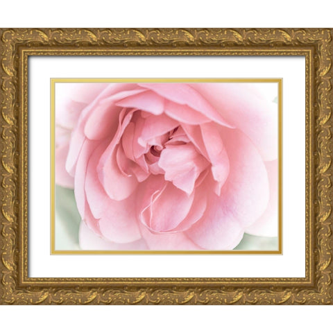 Pretty Pink Blooms II Gold Ornate Wood Framed Art Print with Double Matting by Bane, Eva