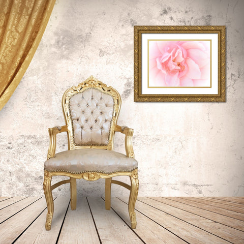 Pretty Pink Blooms III Gold Ornate Wood Framed Art Print with Double Matting by Bane, Eva