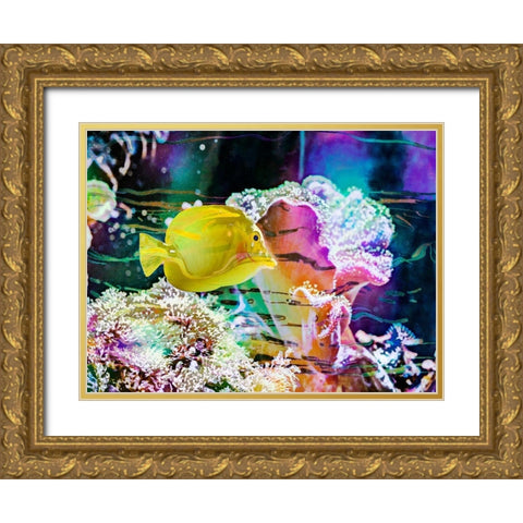 Vibrant Reef IV Gold Ornate Wood Framed Art Print with Double Matting by Bane, Eva