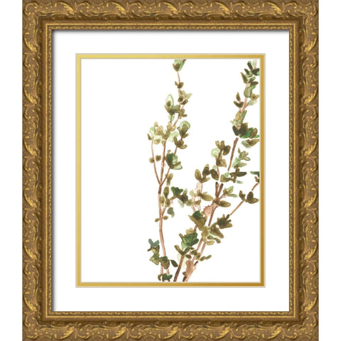 Earthtone Herbs II Gold Ornate Wood Framed Art Print with Double Matting by Vess, June Erica