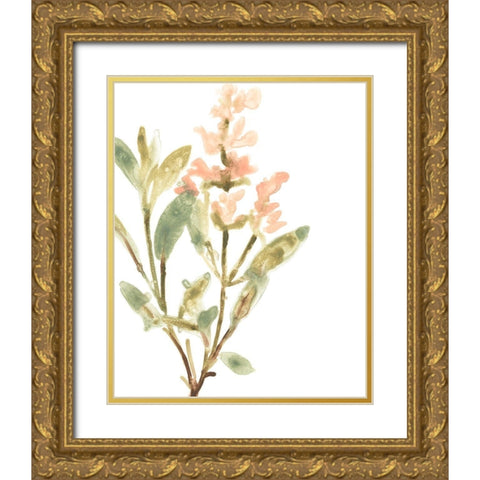 Earthtone Herbs IV Gold Ornate Wood Framed Art Print with Double Matting by Vess, June Erica