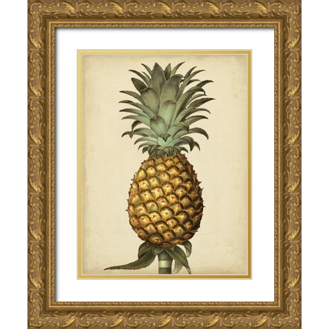 Brookshaw Antique Pineapple I Gold Ornate Wood Framed Art Print with Double Matting by Brookshaw, George