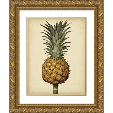Brookshaw Antique Pineapple II Gold Ornate Wood Framed Art Print with Double Matting by Brookshaw, George